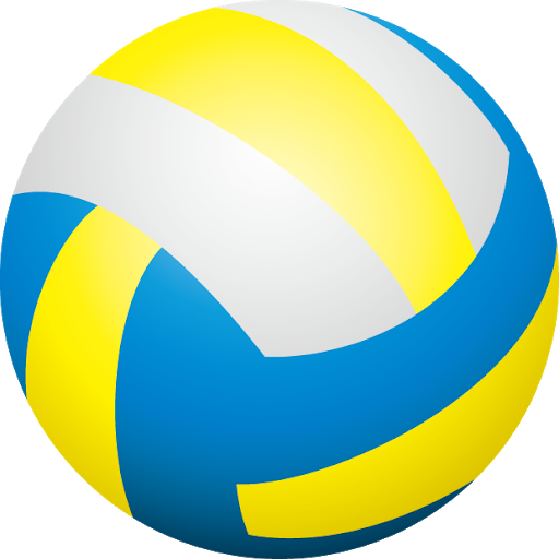 Blue and Yellow Volleyball