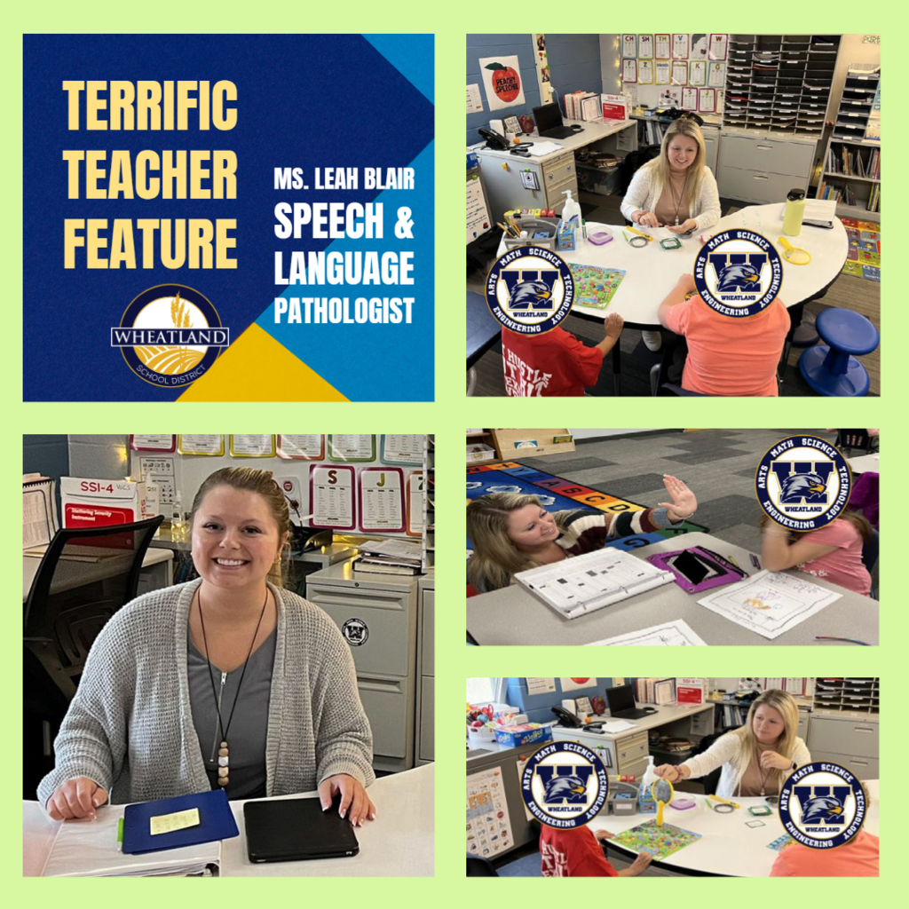 Terrific Teacher Feature