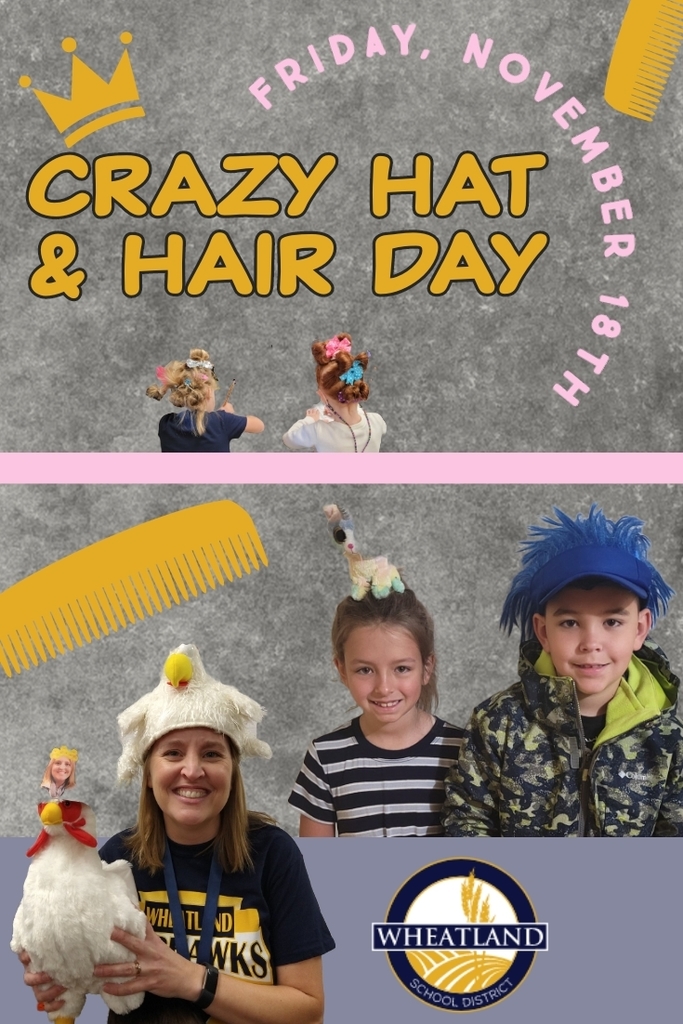 Crazy Hat and Hair Day